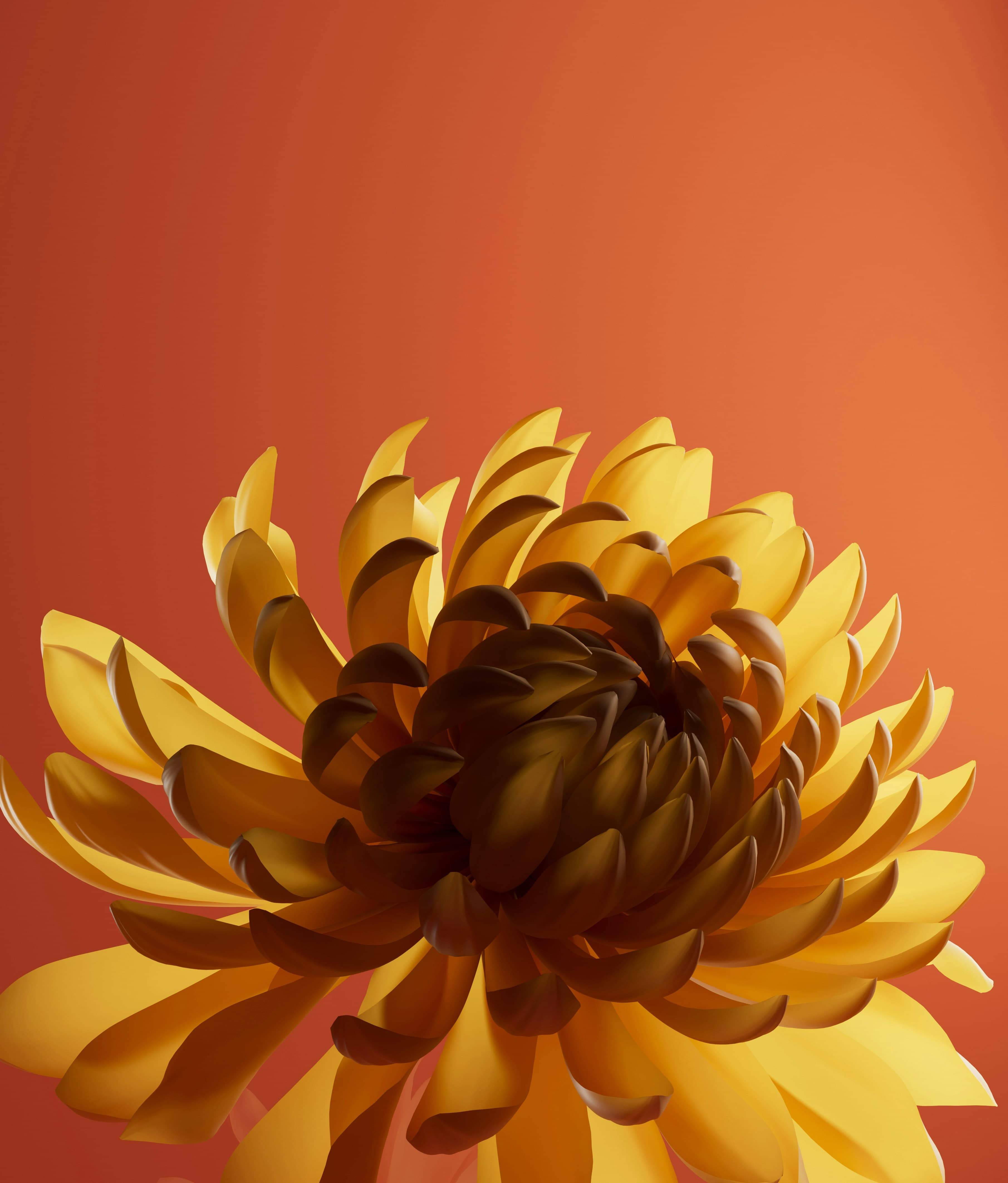 Florals phone case design