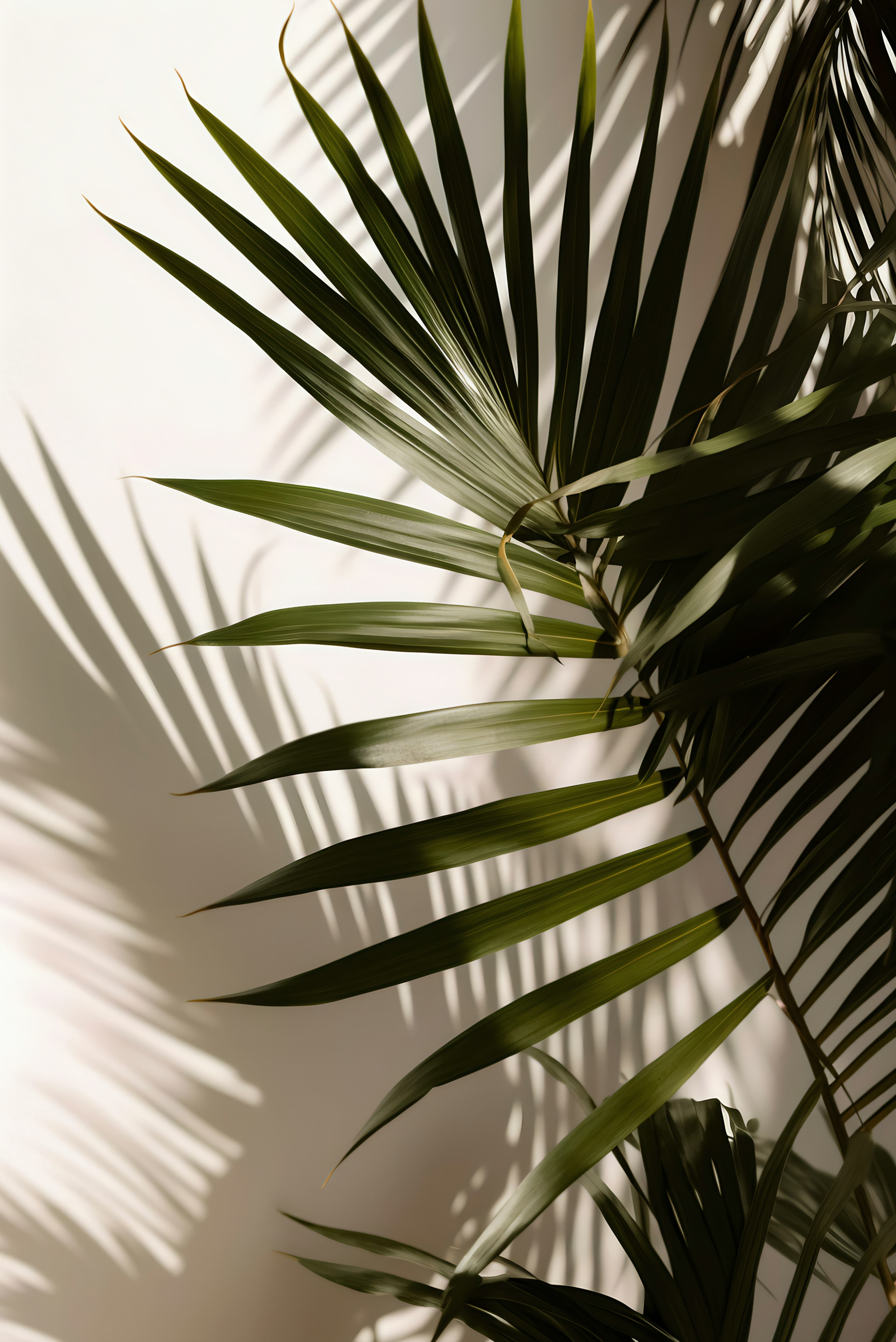 Leaves & Tropical phone case design